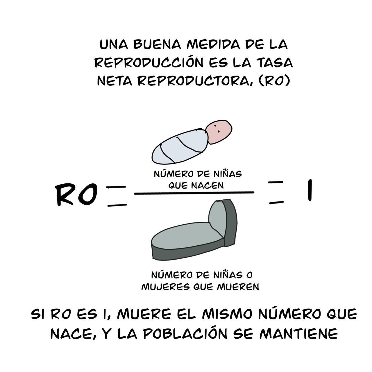 07 guerra repro es