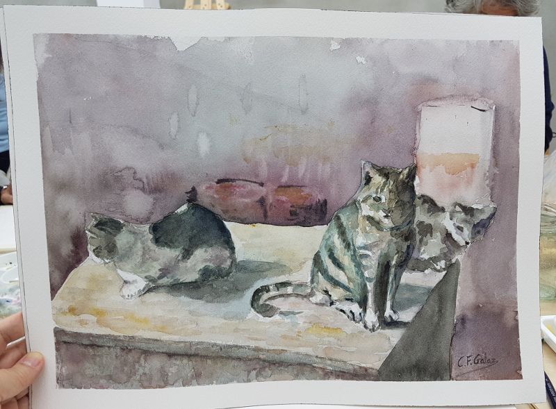 gatos esperando la leche, segundo intento