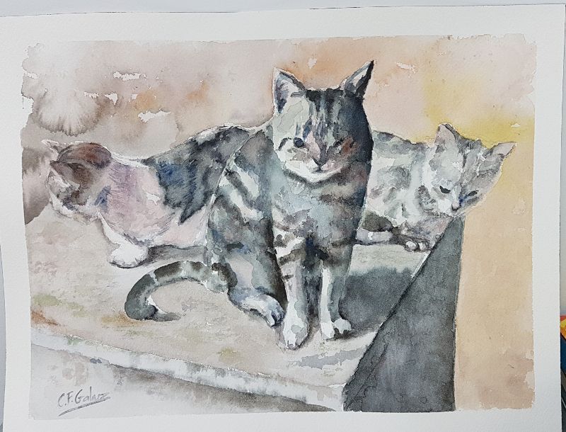 Acuarela, los tres gatos