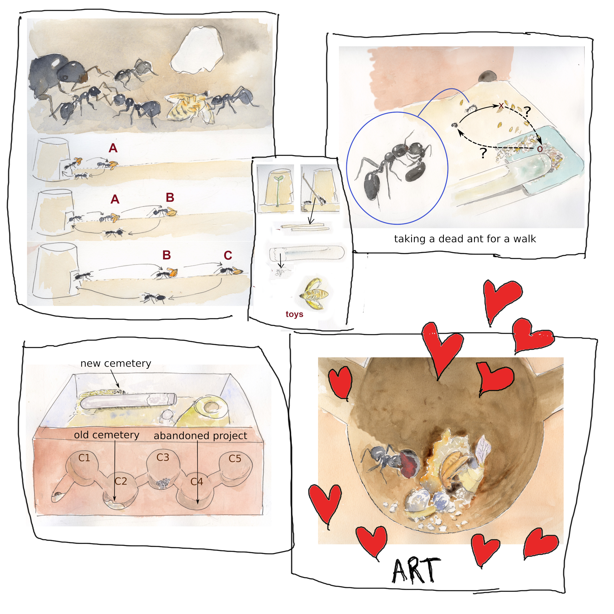 02 ants art